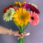 Букет “9 гербер”